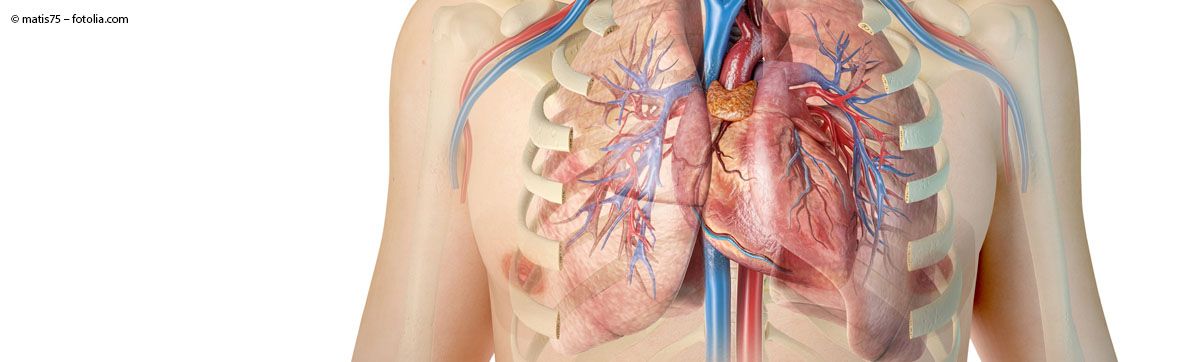 FORSCHUNG AM CPC-M - Mit Stammzellen die Selbstheilung der Lunge fördern